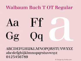 Walbaum Buch T OT Regular OTF 1.001;PS 1.05;Core 1.0.27;makeotf.lib(1.11)图片样张