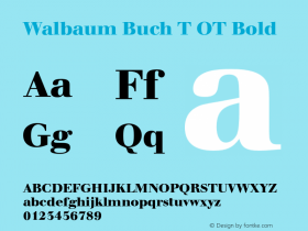 Walbaum Buch T OT Bold OTF 1.001;PS 1.05;Core 1.0.27;makeotf.lib(1.11)图片样张