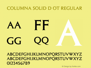 Columna Solid D OT Regular OTF 1.001;PS 1.05;Core 1.0.27;makeotf.lib(1.11) Font Sample