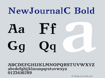 NewJournalC Bold 1.0 Thu Feb 15 15:05:33 1996图片样张