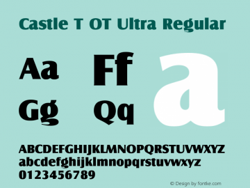 Castle T OT Ultra Regular OTF 1.001;PS 1.05;Core 1.0.27;makeotf.lib(1.11)图片样张