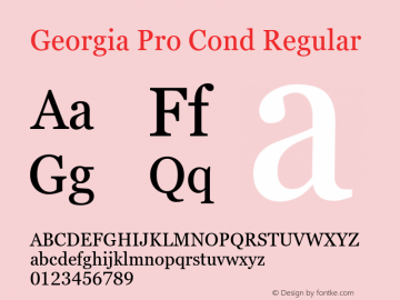 Georgia Pro Cond Regular Version 6.11图片样张
