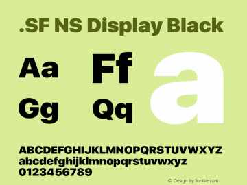 .SF NS Display Black 11.0d39e1图片样张