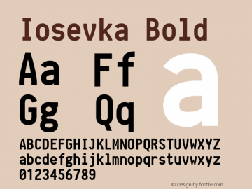 Iosevka Bold r0.0.3; ttfautohint (v1.3) Font Sample