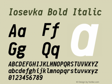 Iosevka Bold Italic r0.1.12; ttfautohint (v1.3)图片样张