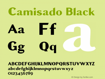 Camisado Black Version 1.000 Font Sample