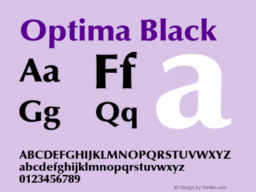 Optima Black Macromedia Fontographer 4.1 05/05/99图片样张