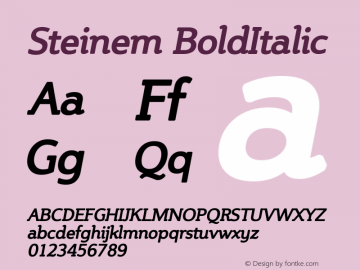 Steinem BoldItalic Version 001.000图片样张