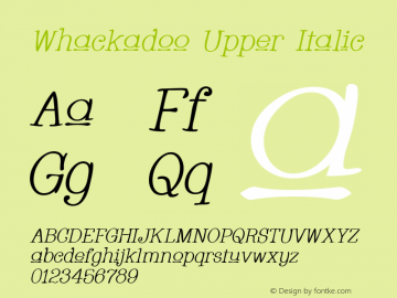 Whackadoo Upper Italic 1.0 Font Sample