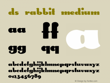 DS Rabbit Medium Version 1.1; 2000图片样张