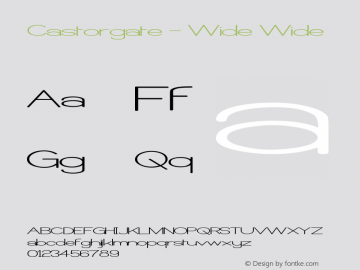 Castorgate - Wide Wide Version 001.000 Font Sample