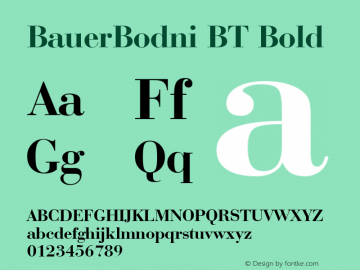 BauerBodni BT Bold mfgpctt-v1.63 Thursday, May 13, 1993 10:59:47 am (EST) Font Sample