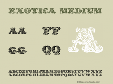 exotica Medium 2001; 1.0, initial release图片样张
