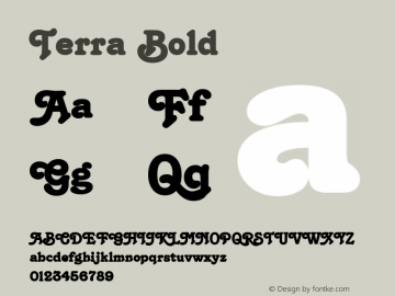 Terra Bold Altsys Fontographer 4.1 12/22/94 Font Sample