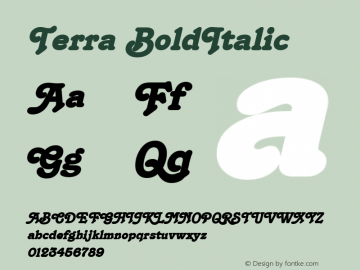 Terra BoldItalic Altsys Fontographer 4.1 12/22/94 Font Sample