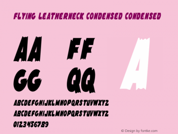 Flying Leatherneck Condensed Condensed 1图片样张