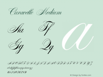 Caravelle Medium Version 001.001图片样张