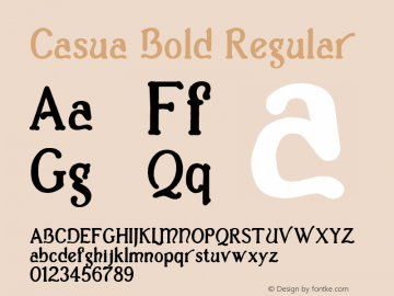 Casua_Bold Regular Version 1.1; 2002图片样张