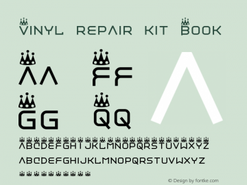 Vinyl repair kit Book Version 2图片样张