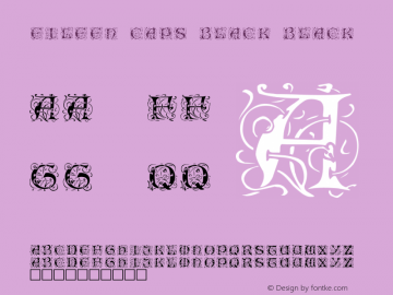 Eileen Caps Black Black Version 001.000图片样张