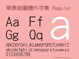 華康細圓體外字集 Regular 1 Aug., 1999: Unicode Version 1.00图片样张