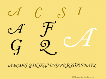 Adobe Caslon SwashItalic Version 001.002 Font Sample