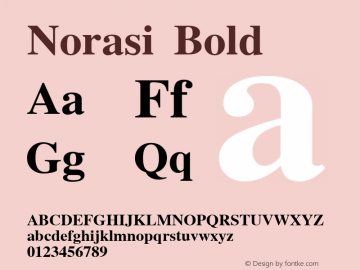 Norasi Bold Version 005.000: 2014-03-17图片样张