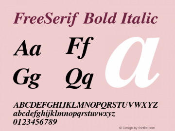 FreeSerif Bold Italic Version 0412.2268图片样张