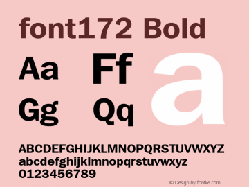 font172 Bold Unknown Font Sample