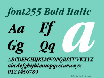 font255 Bold Italic Unknown Font Sample