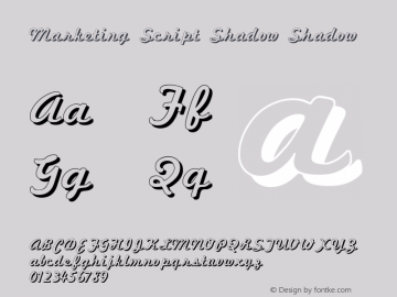 Marketing Script Shadow Shadow Version 001.003图片样张