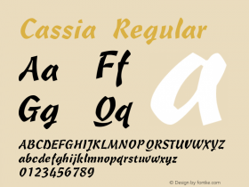 Cassia Regular Weatherly Systems, Inc.  6/6/95 Font Sample