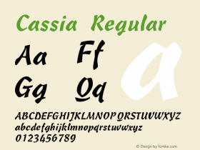 Cassia Regular Publisher's Paradise -- Media Graphics International Inc. Font Sample