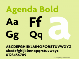 Agenda Bold Version 001.000 Font Sample