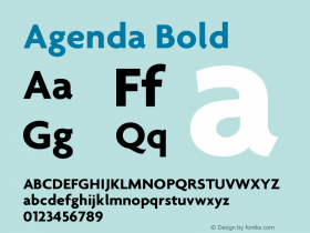 Agenda Bold Version 001.000 Font Sample