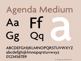 Agenda Medium 001.000 Font Sample