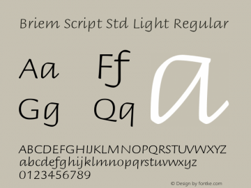 Briem Script Std Light Regular Version 1.040;PS 001.000;Core 1.0.35;makeotf.lib1.5.4492 Font Sample