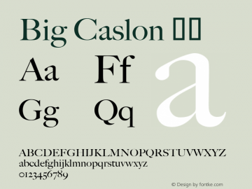 Big Caslon 中等 10.0d1e1图片样张