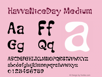 HavvaNiceDay Medium Version 001.000图片样张