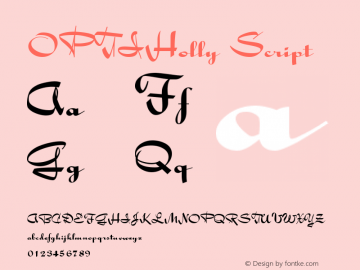 OPTIHolly Script Version 001.000图片样张