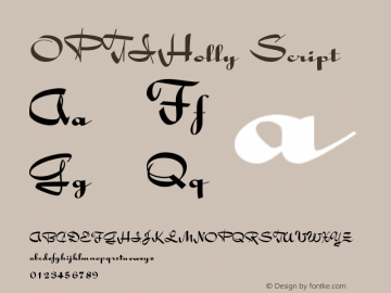 OPTIHolly Script Version 001.000图片样张