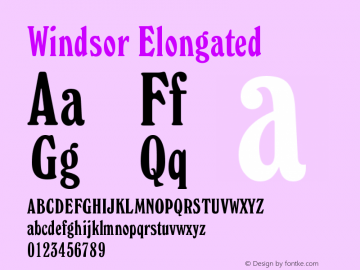 Windsor Elongated Version 003.001图片样张