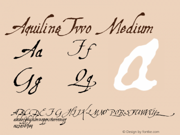 AquilineTwo Medium Version 1.0 2004-11-06图片样张