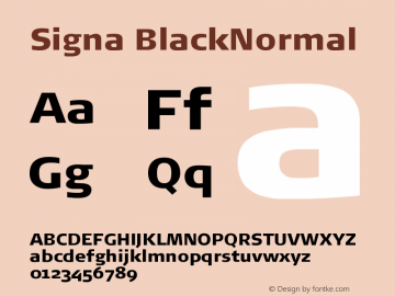 Signa BlackNormal Version 004.301图片样张