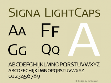 Signa LightCaps Version 004.301图片样张