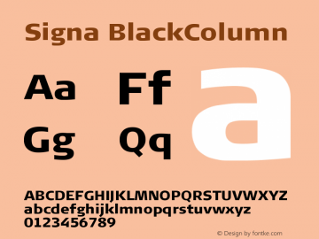 Signa BlackColumn Version 004.301图片样张