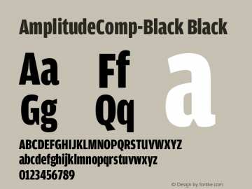 AmplitudeComp-Black Black Version 001.000图片样张