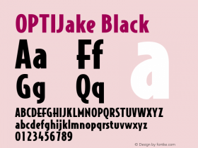 OPTIJake Black Version 001.000图片样张