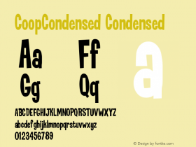 CoopCondensed Condensed Version 001.000图片样张