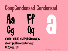 CoopCondensed Condensed Version 001.000图片样张